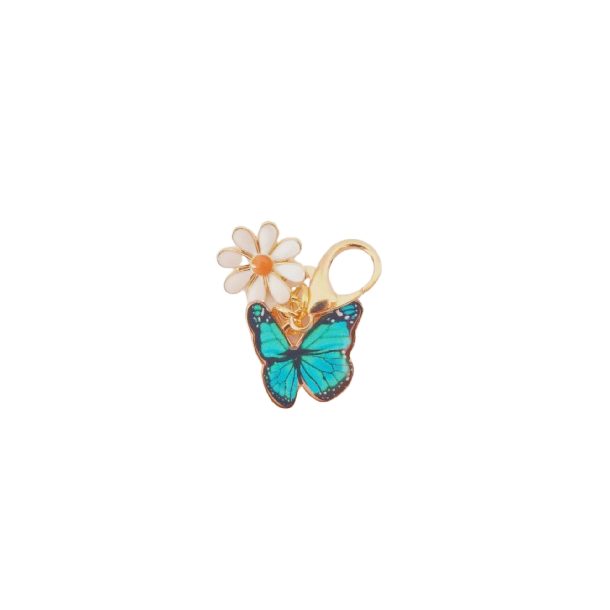 front picture of blue butterfly keyring